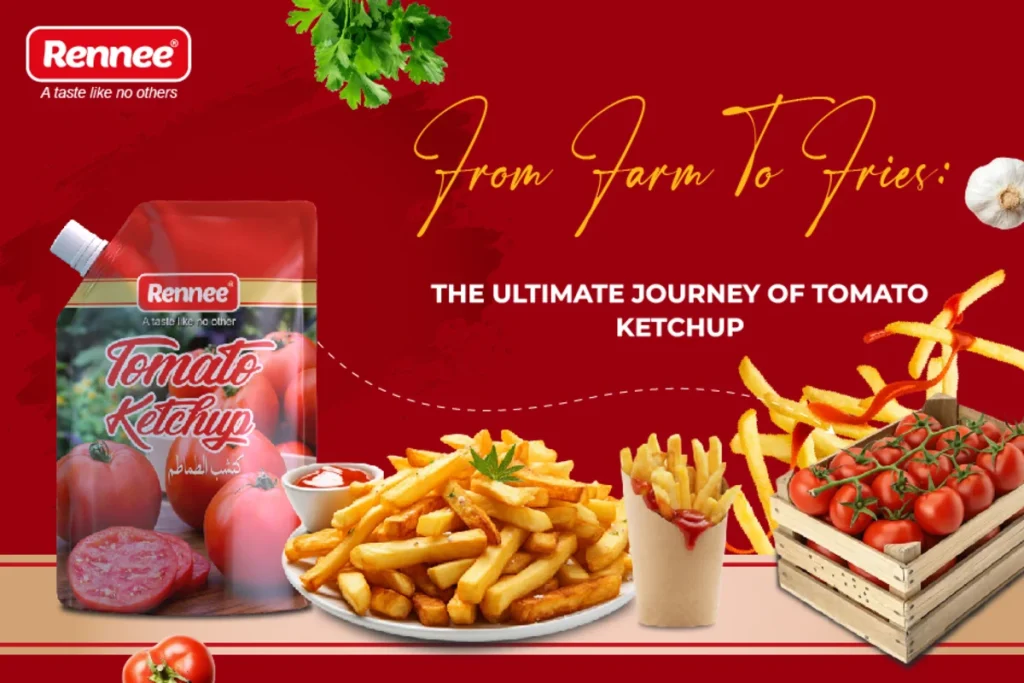 From Farm To Fries The Ultimate Journey Of Tomato Ketchup By Rennee Foods